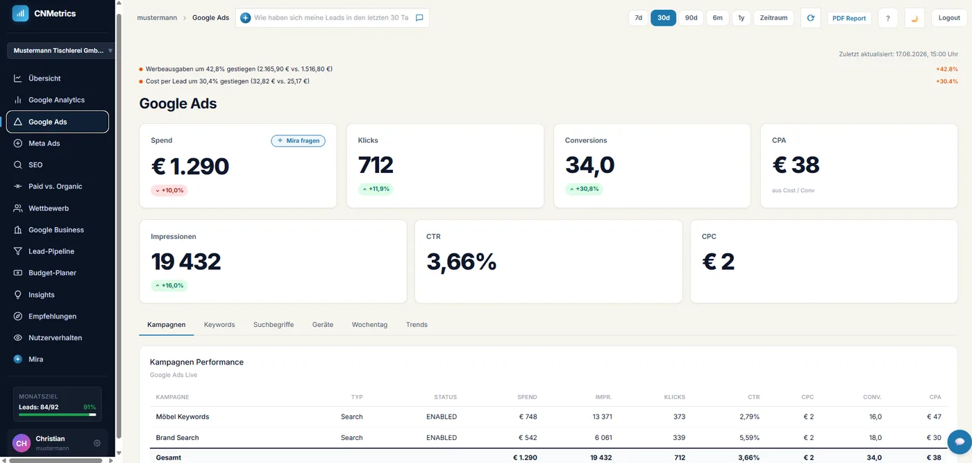 CNMetrics Google Ads Kampagnen-Performance
